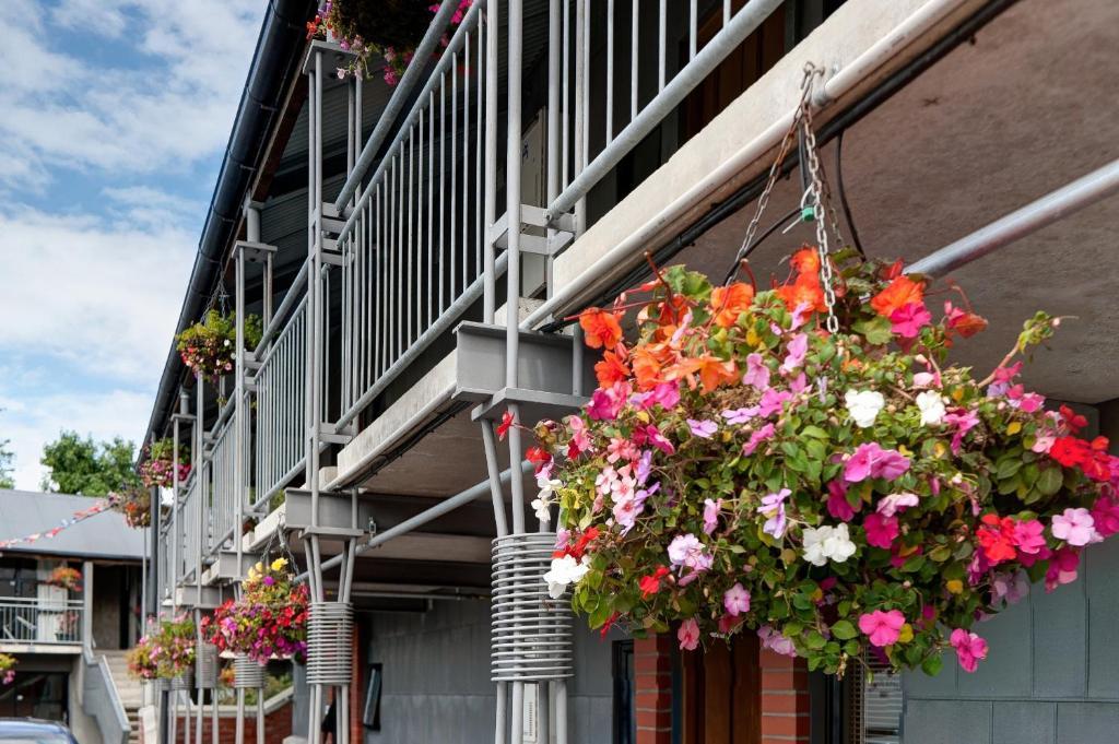 Country Glen alojamiento Christchurch Exterior foto